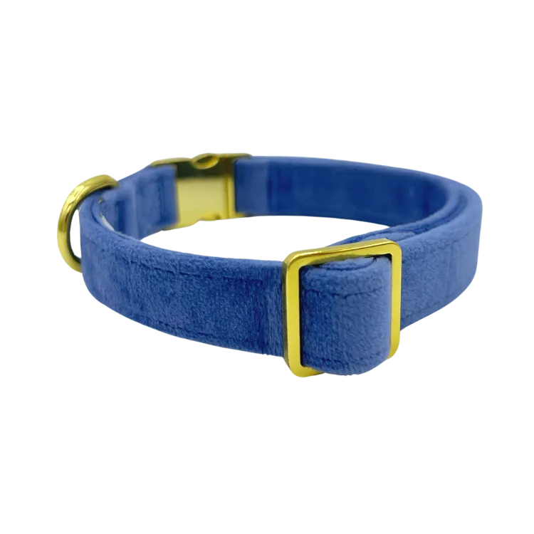 Denim Velvet - Dog Collar