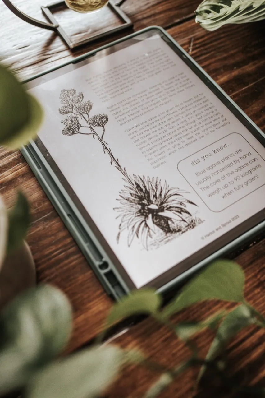 DIGITAL Botany Secondary Level Unit Study