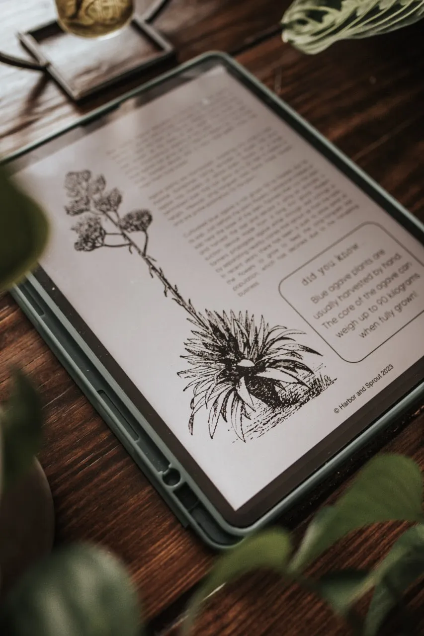 DIGITAL Botany Secondary Level Unit Study