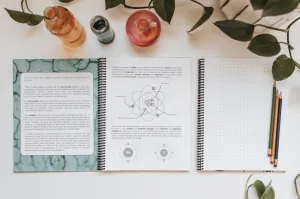 DIGITAL Chemistry Secondary Level Unit Study