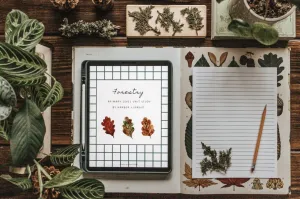 DIGITAL Forestry Primary Level Unit Study