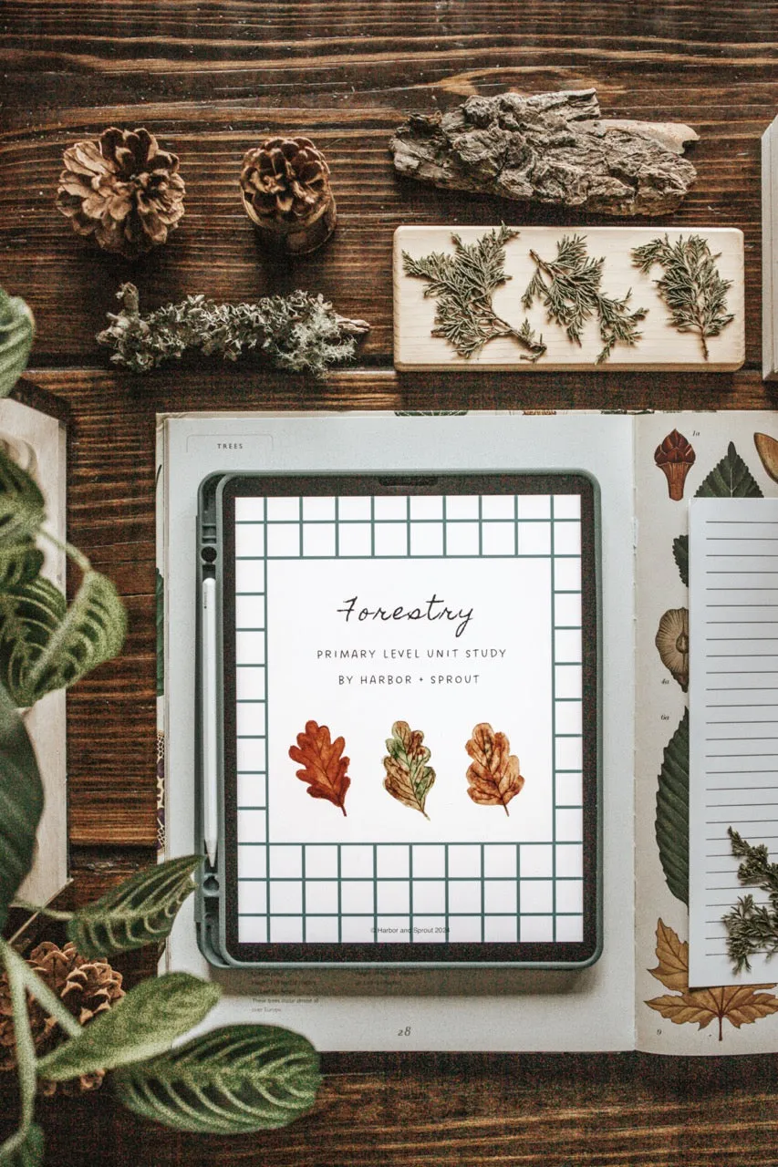 DIGITAL Forestry Primary Level Unit Study