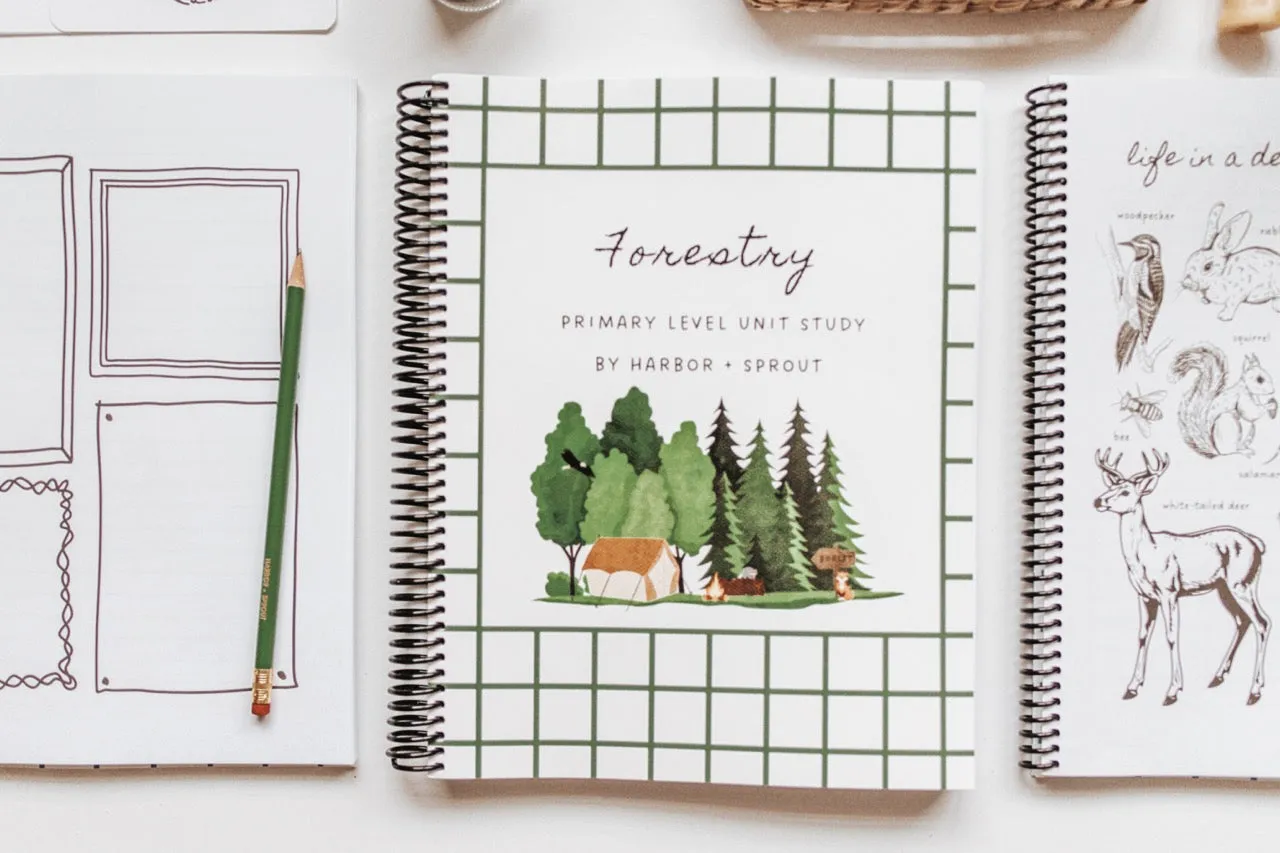 DIGITAL Forestry Primary Level Workbook