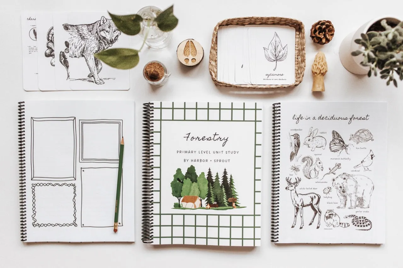 DIGITAL Forestry Primary Level Workbook
