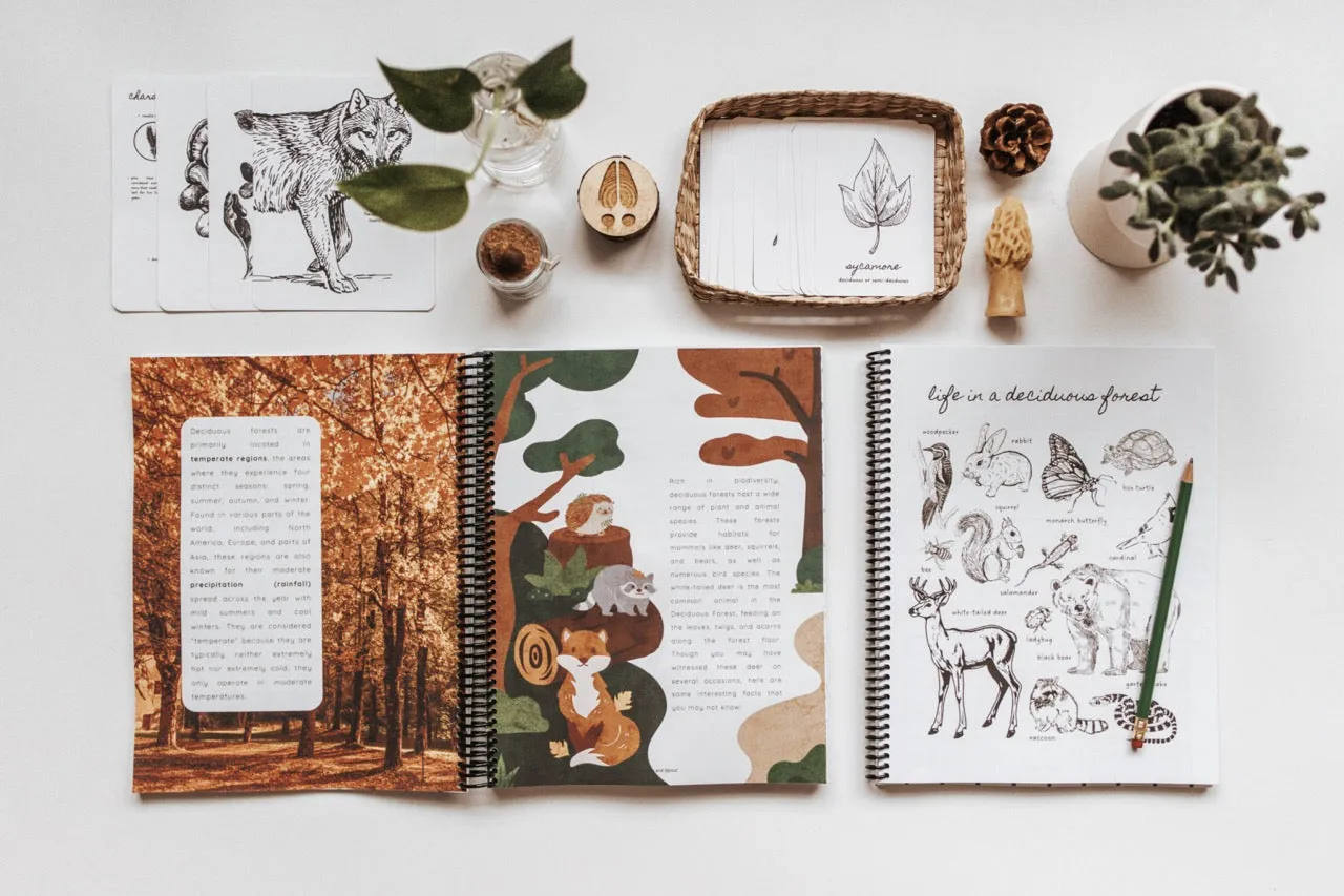 DIGITAL Forestry Primary Level Workbook
