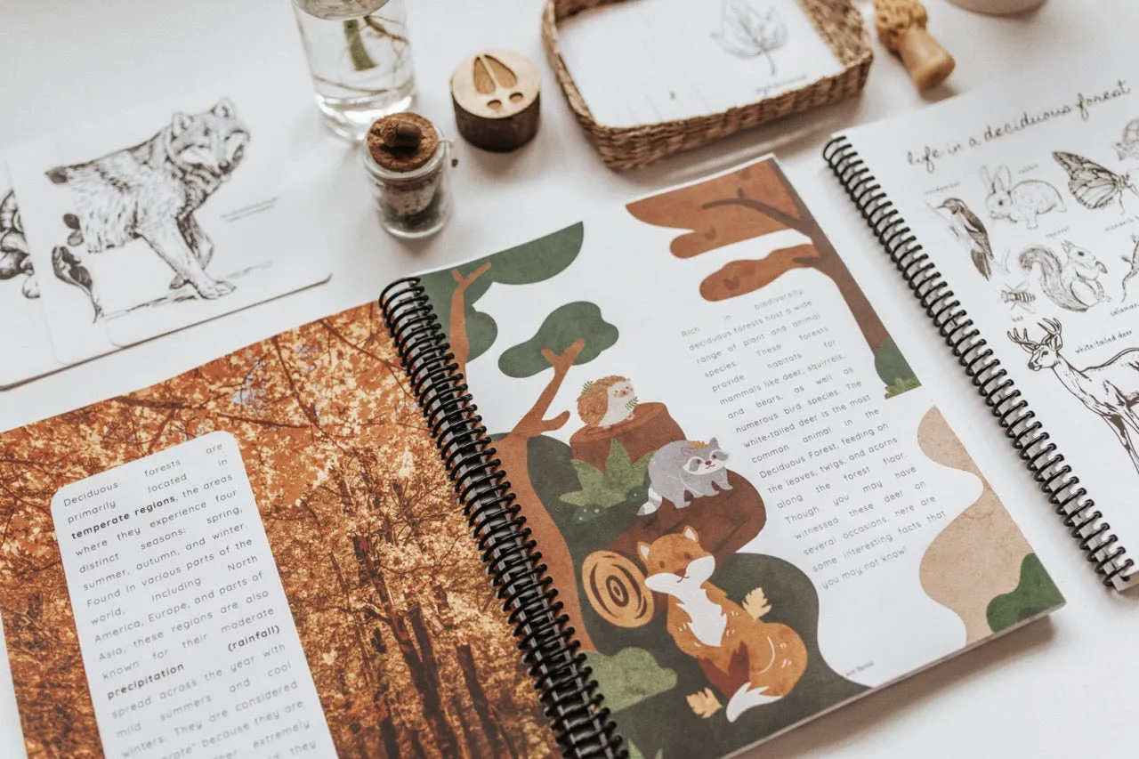 DIGITAL Forestry Primary Level Workbook