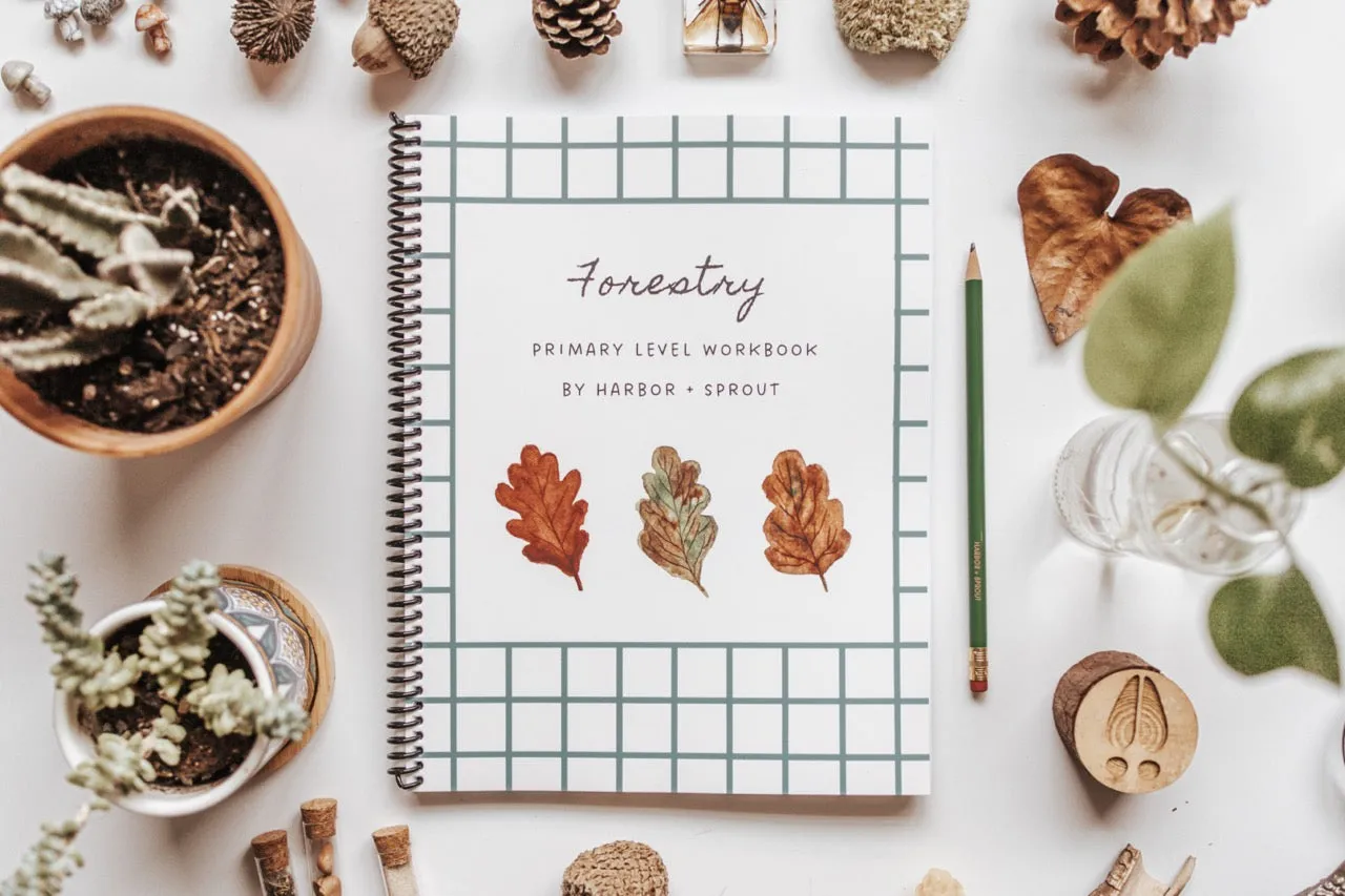 DIGITAL Forestry Primary Level Workbook