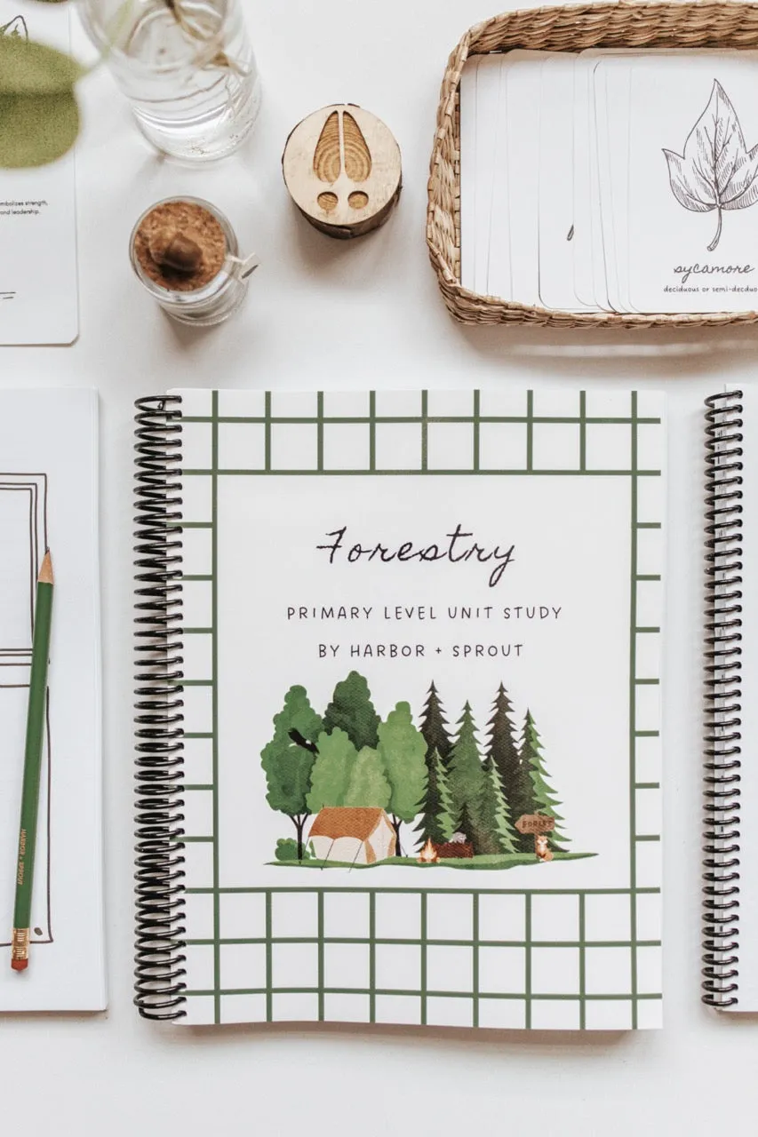 DIGITAL Forestry Primary Level Workbook
