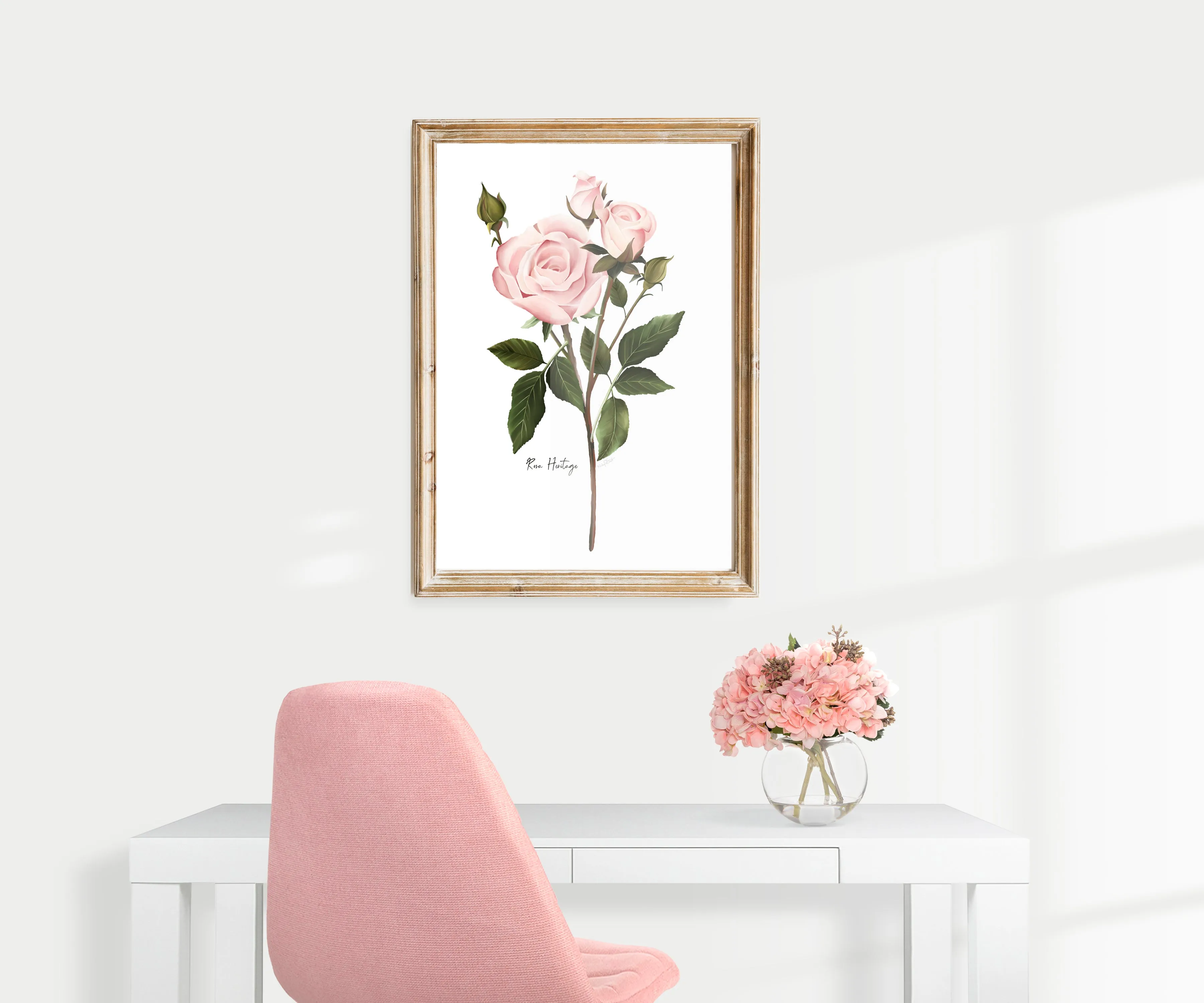 English Pink Rose Wall Art Print