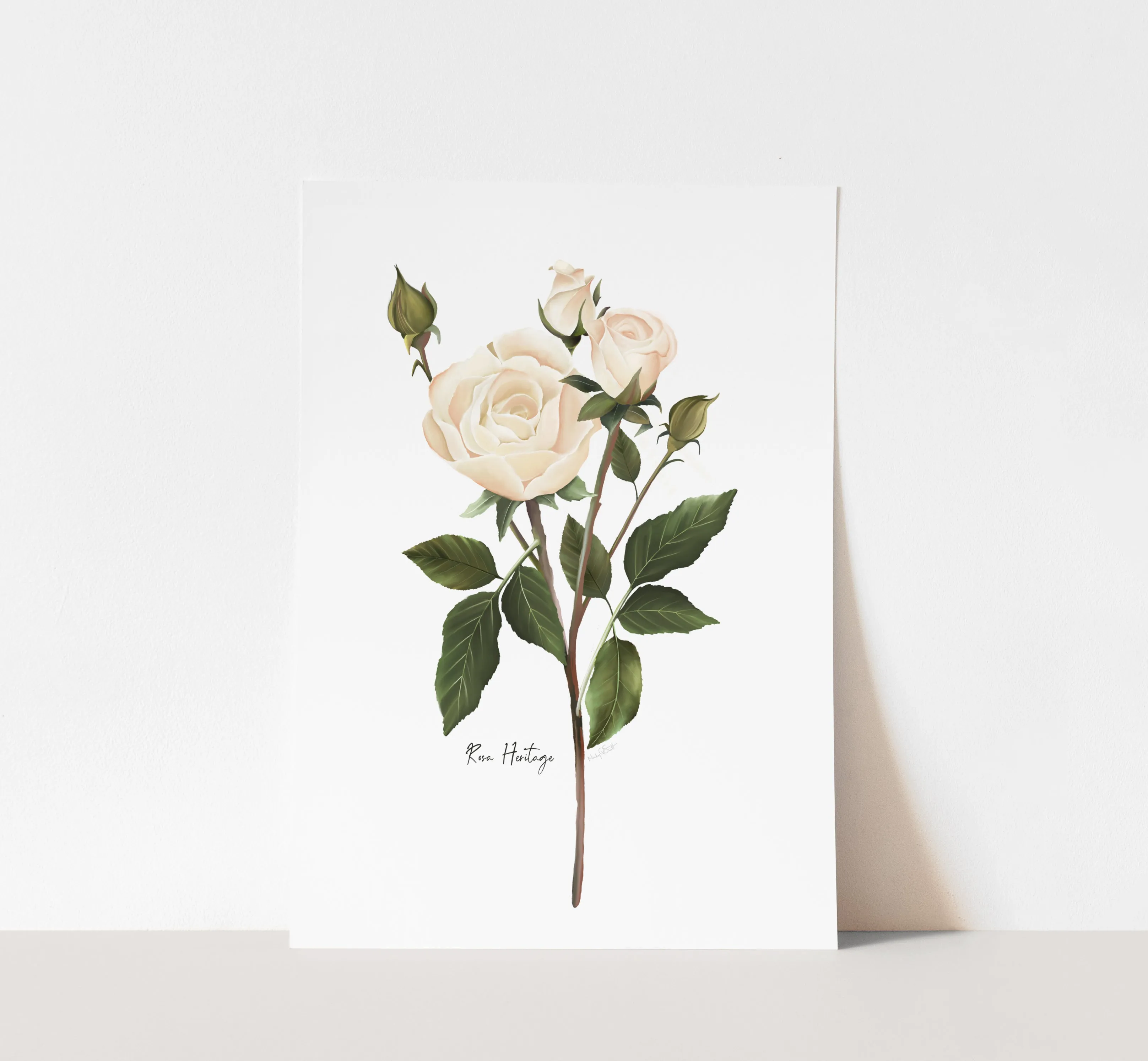 English White Rose Wall Art Print