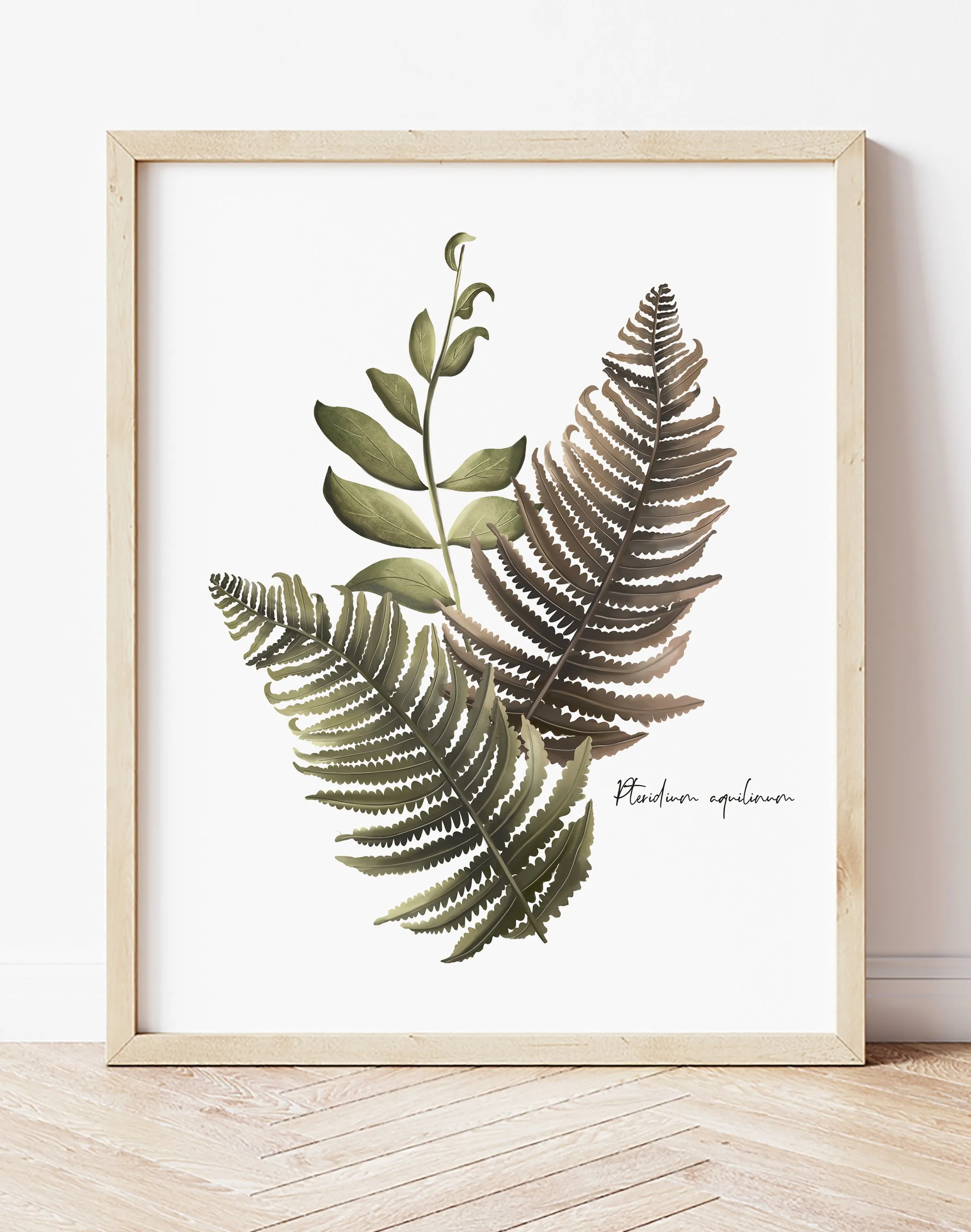 Fern Arrangement Wall Art Print