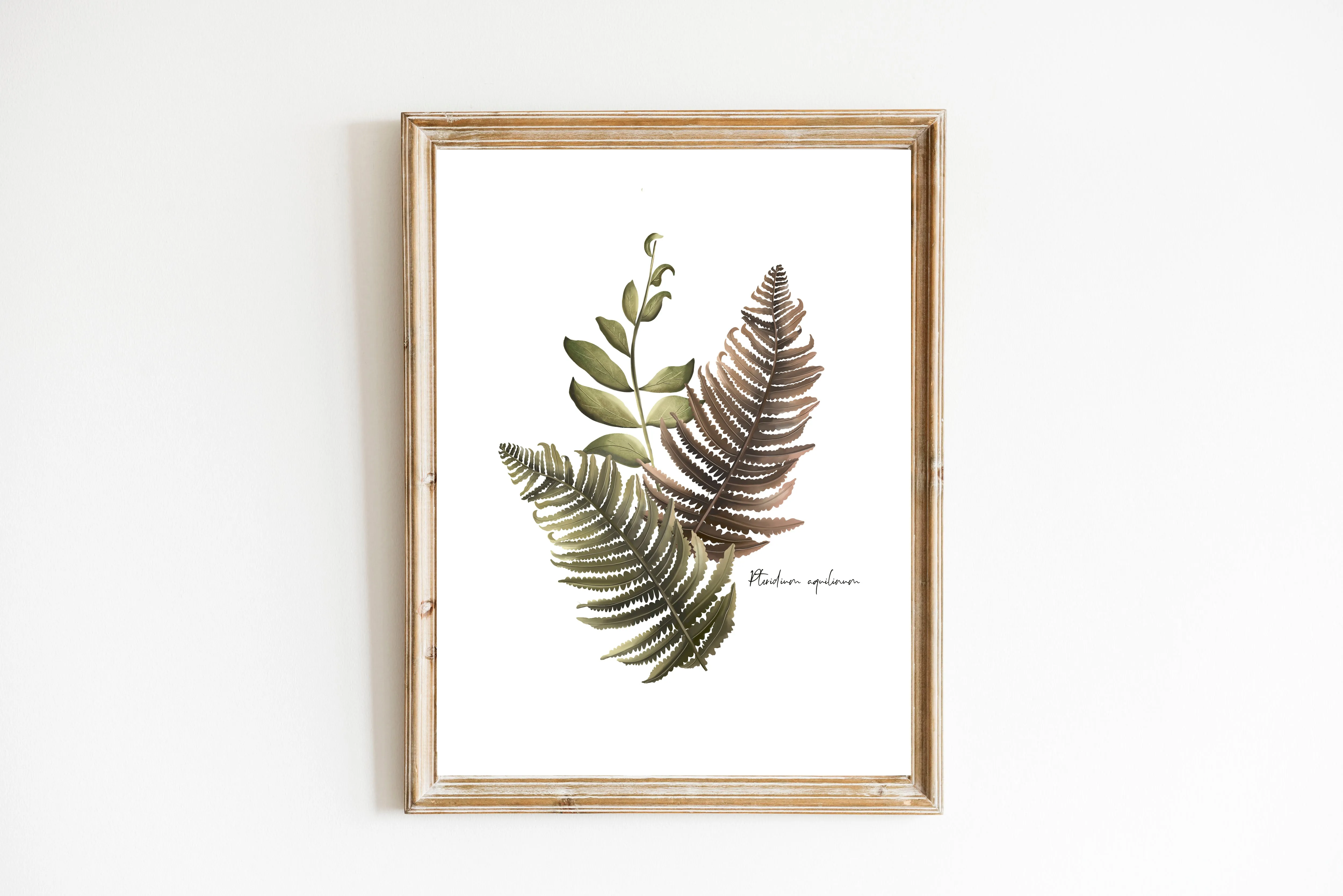 Fern Arrangement Wall Art Print
