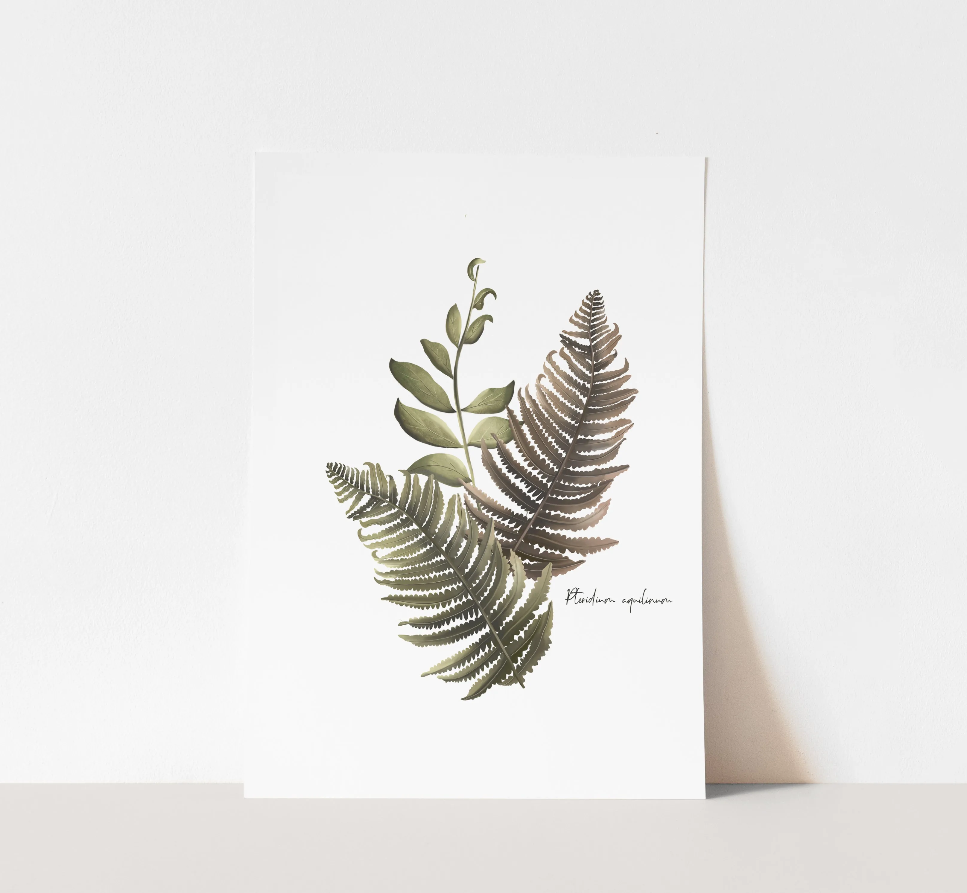Fern Arrangement Wall Art Print