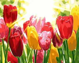Flower Diy Paint By Numbers Kits WM777