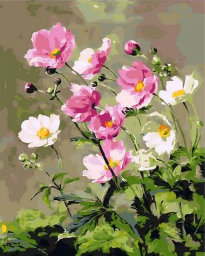 Flower Diy Paint By Numbers Kits  XQ1018