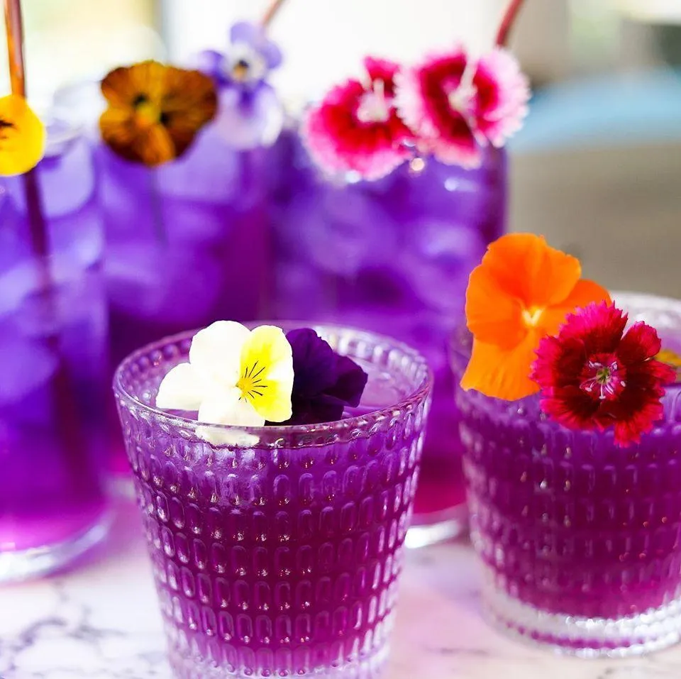 Flower Extract - b'Lure Butterfly Pea
