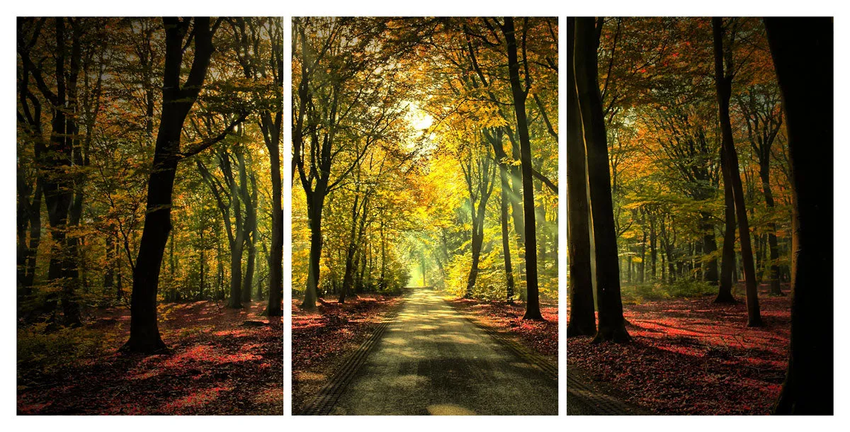 Flowers Landscape Botanical  - Autum Forest Acrylic Wall Art Original Image