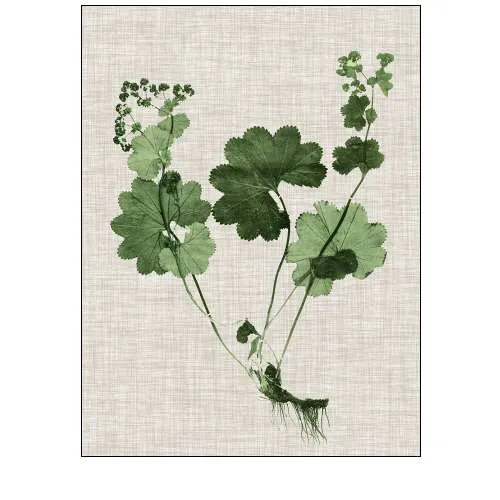 Forest Foliage on Linen I