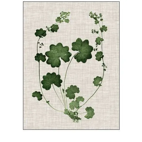 Forest Foliage on Linen II