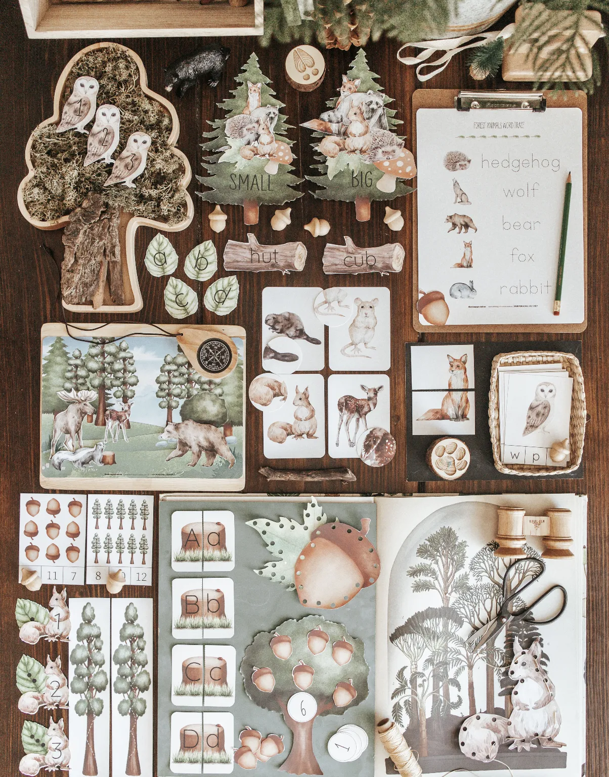Forestry Morning Basket