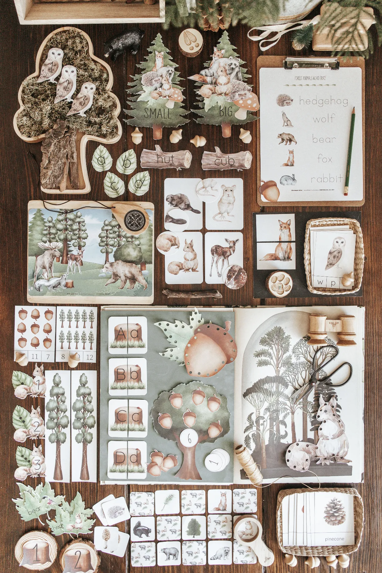 Forestry Morning Basket