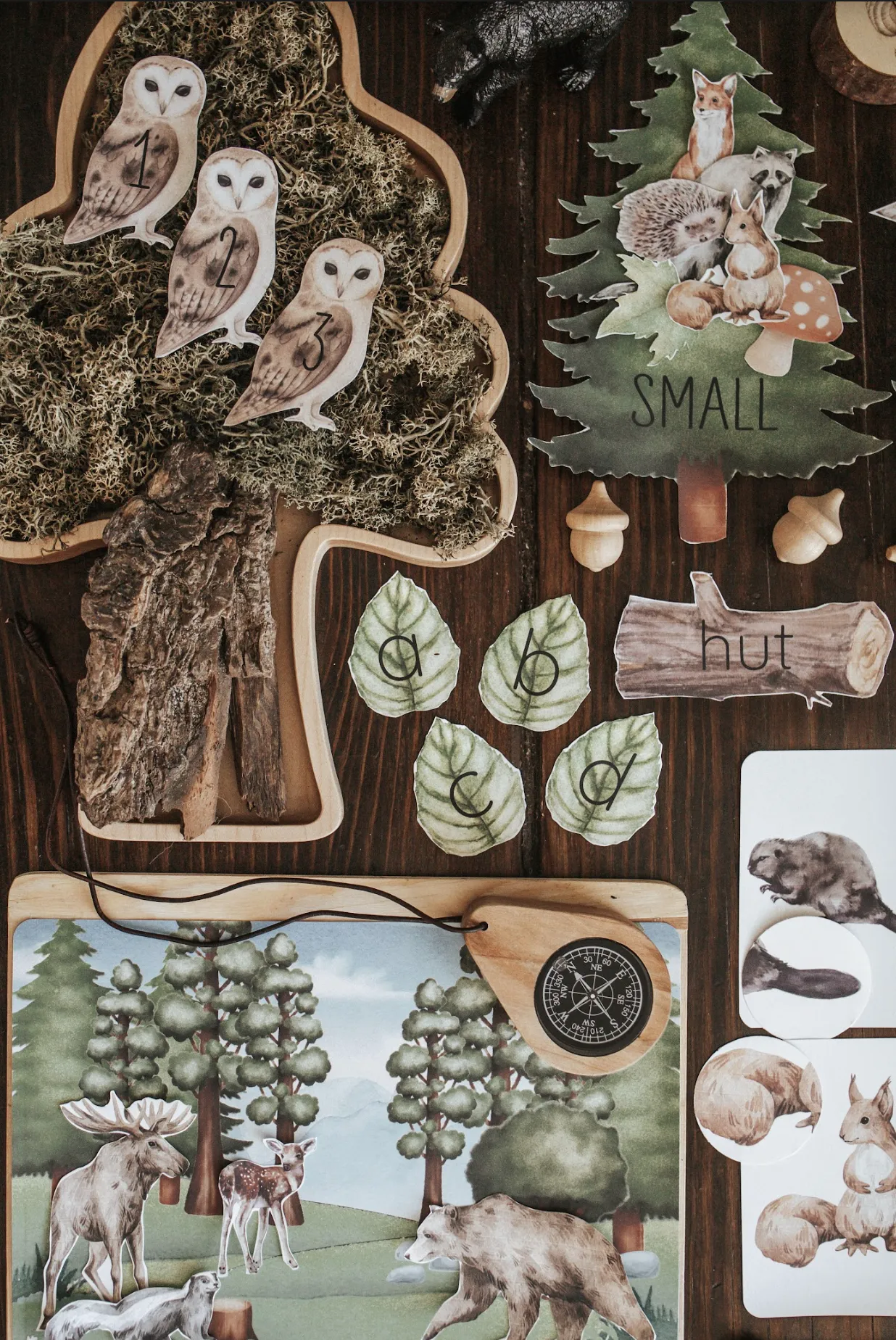 Forestry Morning Basket