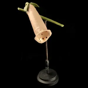 Foxglove Flower Study Model