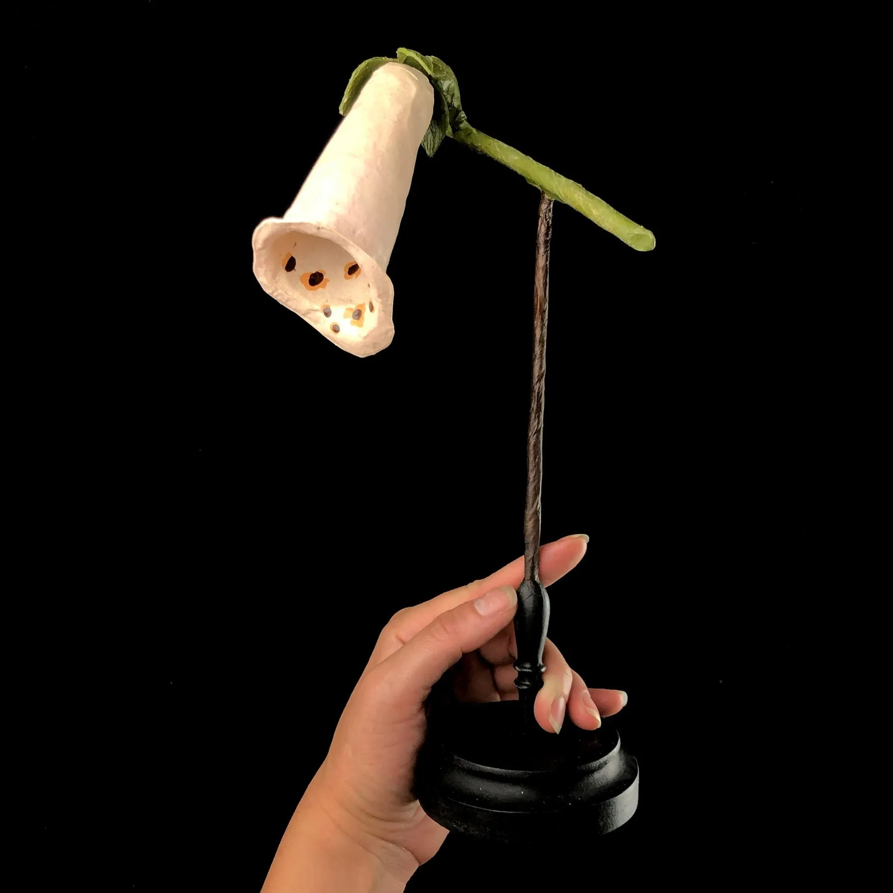 Foxglove Flower Study Model