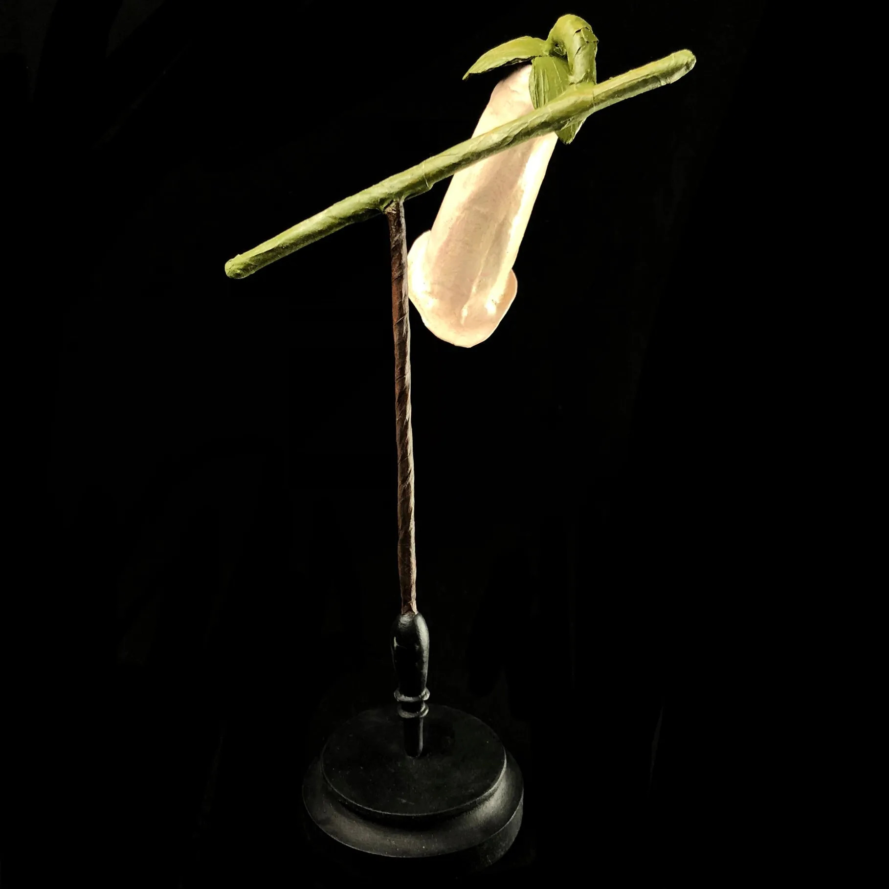 Foxglove Flower Study Model