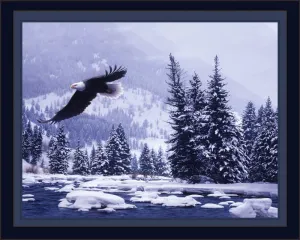 Free Flight Eagle Digital Panel