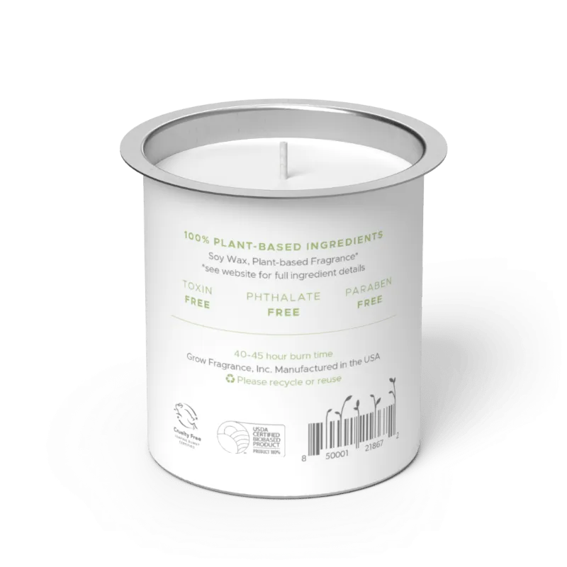 Green Tea Matcha Candle Fragrance