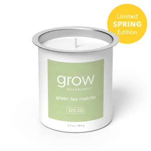 Green Tea Matcha Candle Fragrance