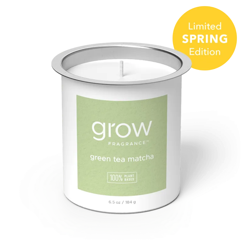Green Tea Matcha Candle Fragrance