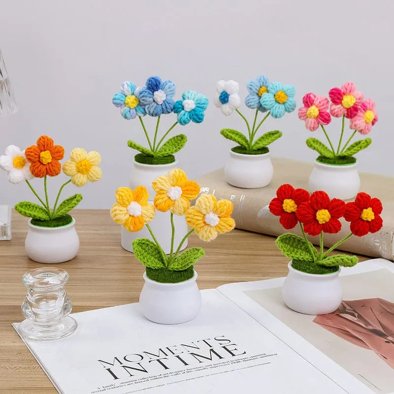 Handmade Crochet Potted Daisy Flower