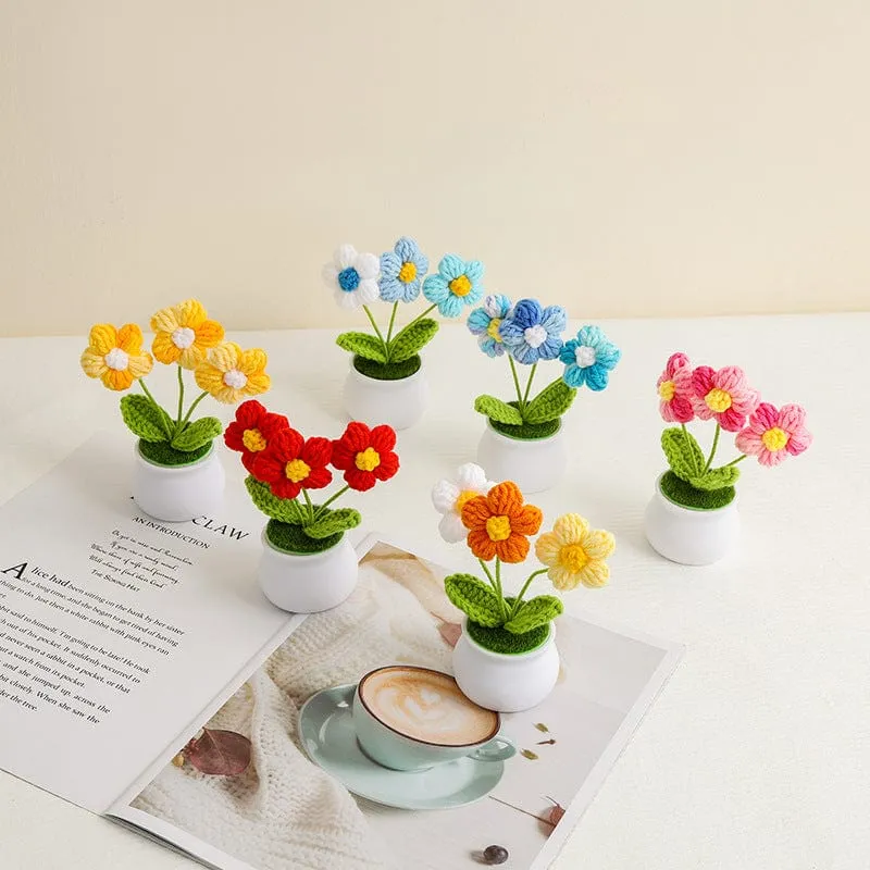 Handmade Crochet Potted Daisy Flower