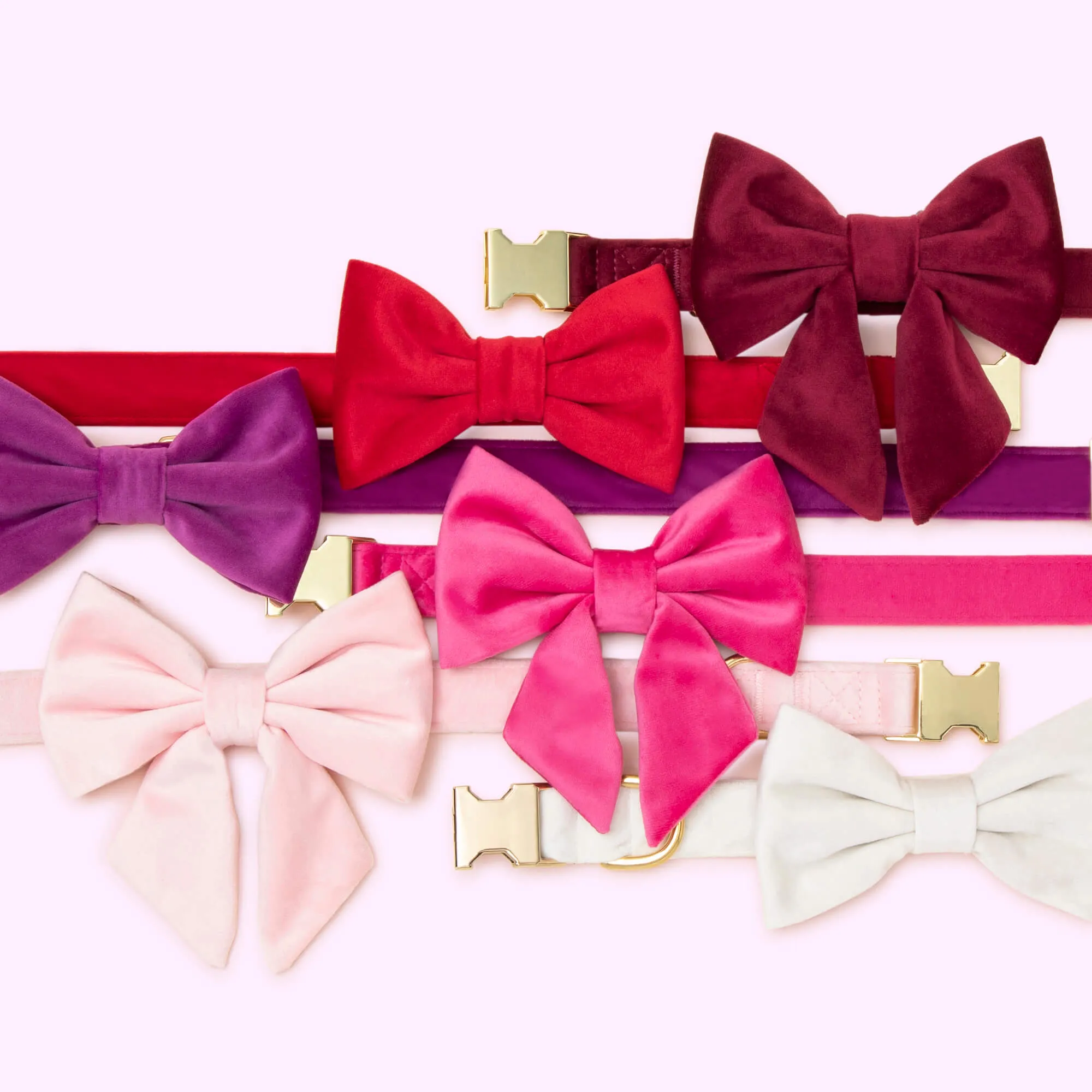 Hot Pink Velvet Lady Bow Collar