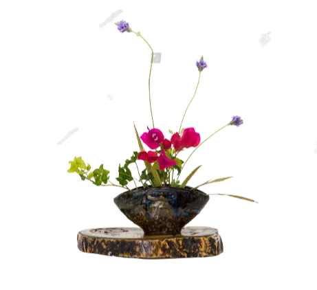 Ikebana Kenzan