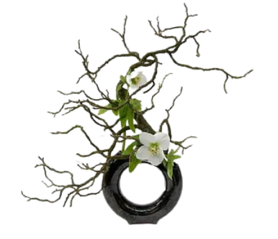 Ikebana Kenzan