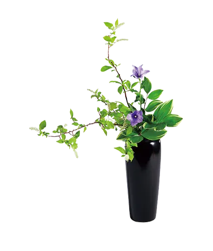 Ikebana Kenzan
