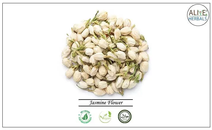 Jasmine Flower