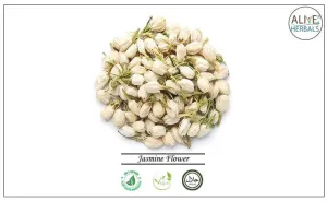 Jasmine Flower