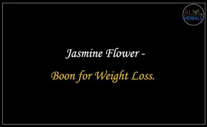 Jasmine Flower