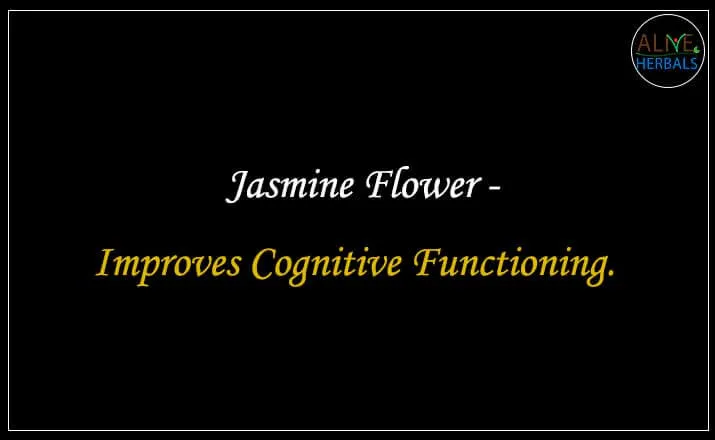 Jasmine Flower