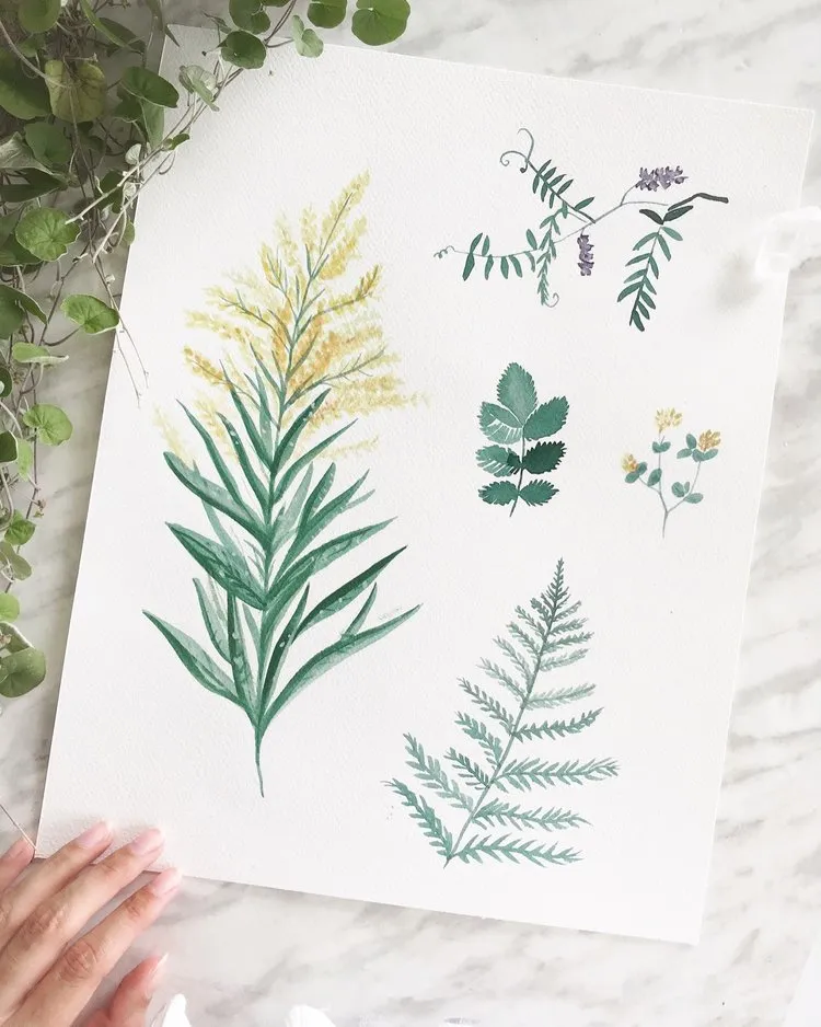 Katelyn Morse Wildflowers Botanical Art Print 8x10