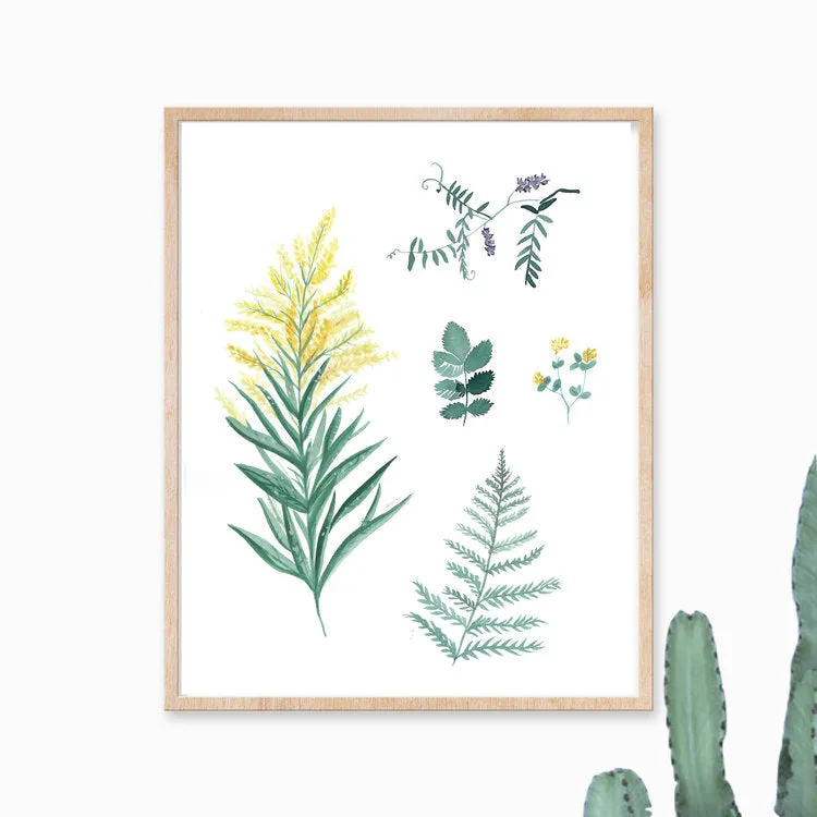 Katelyn Morse Wildflowers Botanical Art Print 8x10