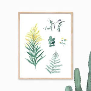 Katelyn Morse Wildflowers Botanical Art Print 8x10