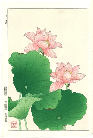 Kawarazaki Shodo - F59 Sekiren (Red Lotus)  - Free Shipping