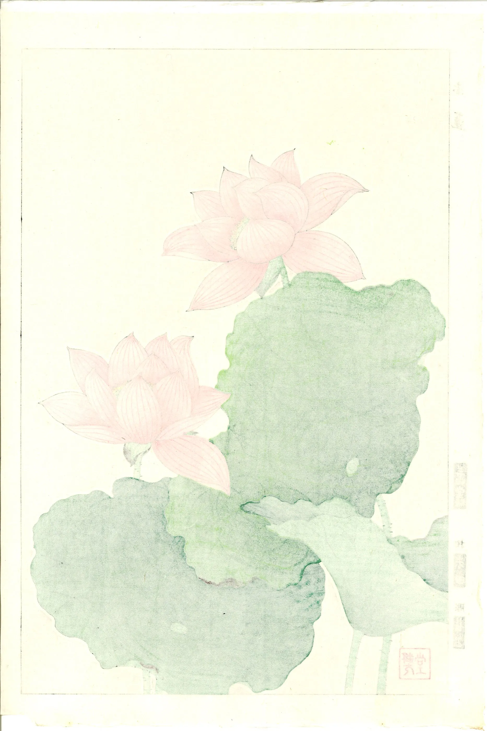 Kawarazaki Shodo - F59 Sekiren (Red Lotus)  - Free Shipping