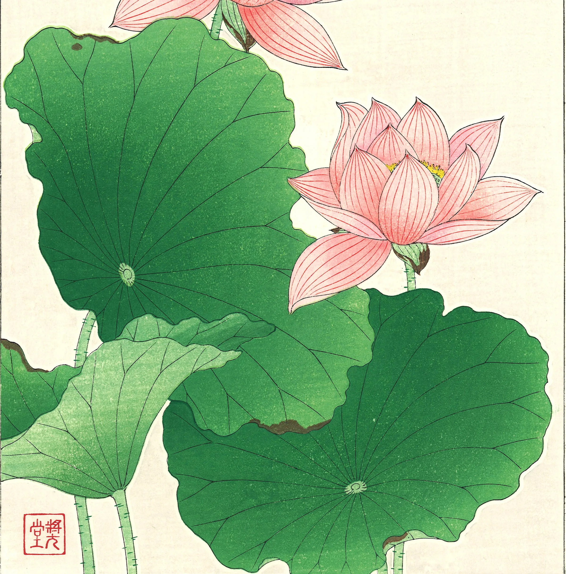 Kawarazaki Shodo - F59 Sekiren (Red Lotus)  - Free Shipping