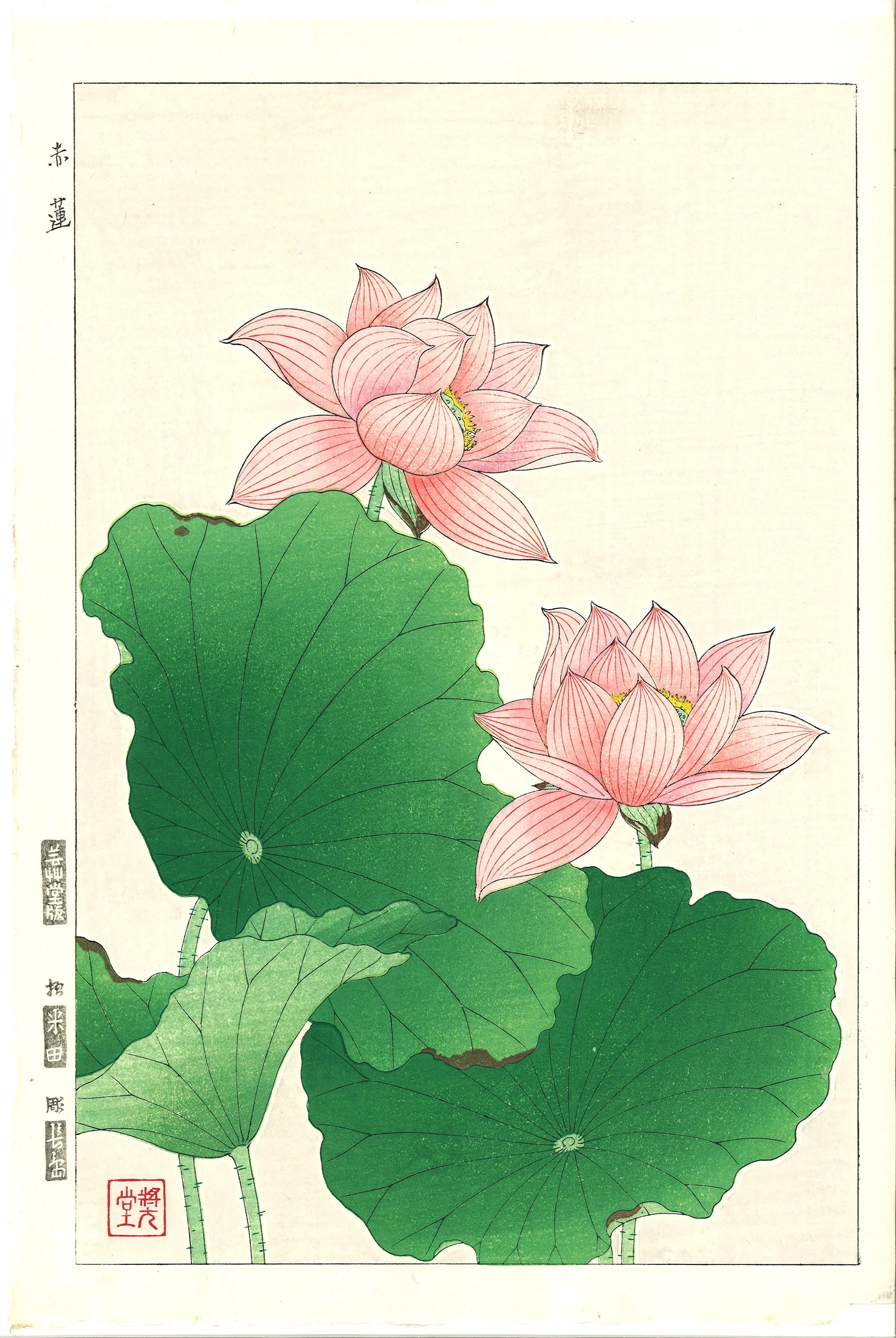 Kawarazaki Shodo - F59 Sekiren (Red Lotus)  - Free Shipping